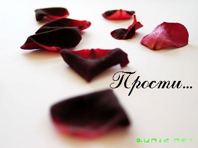 1Извинения в стихах девушке