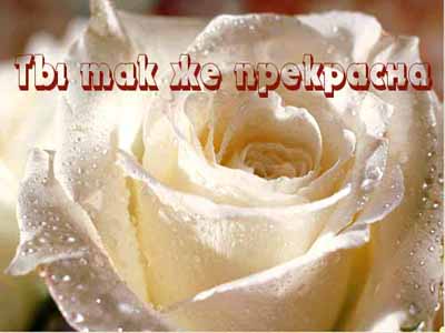 Стихи прекрасной девушке
