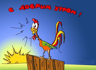 "С добрым утром" смешные СМС 