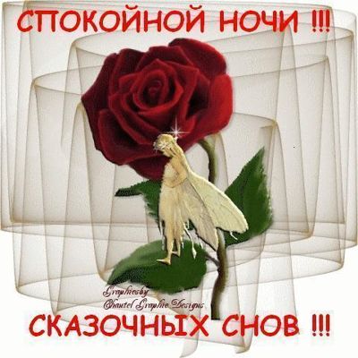 Спокойной ночи любимая смс