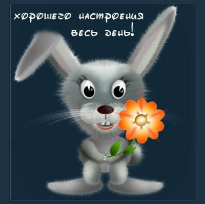 Пожелание хорошего дня любимой СМС