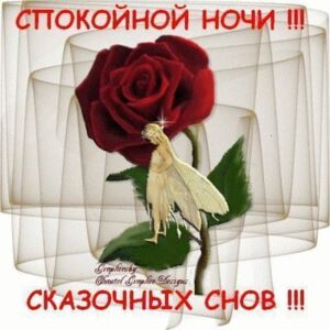 “Спокойной ночи любимая” смски