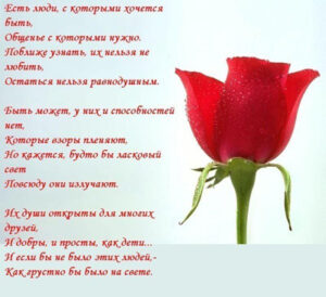 Комплименты девушке в стихах