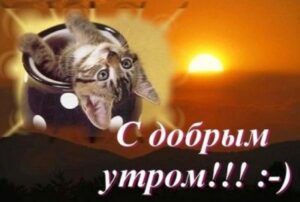 Короткие смс “с добрым утром” девушке