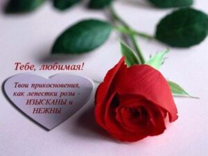 Романтические стихи любимой девушке