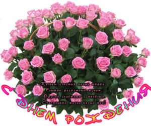 С Днем рождения стихи любимой