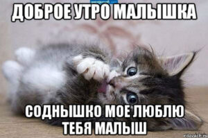 Смс “Доброе утро малышка!”