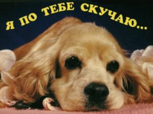 СМС любимой девушке “скучаю”