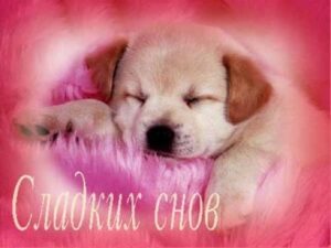 СМС мужчине на ночь
