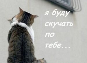 Стихи мужчине со словами “скучаю!”