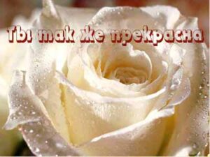 Стихи прекрасной девушке