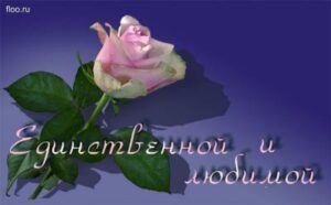 Стихи любимой с Днем рождения
