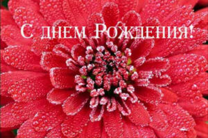 Стихи с днем рождения — подарите минутку счастья близкому человеку